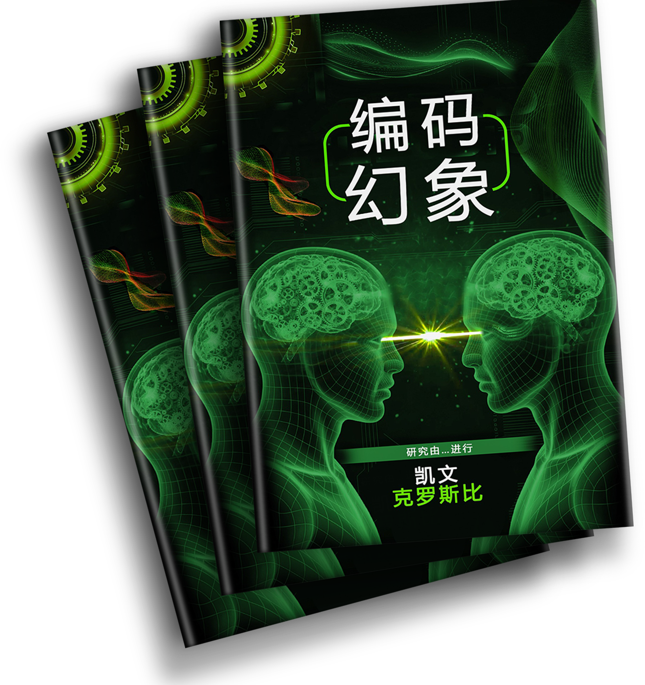 Encoded Illusion (Chinese Edition)